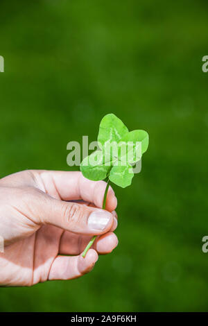 Shamrock in mano Foto Stock