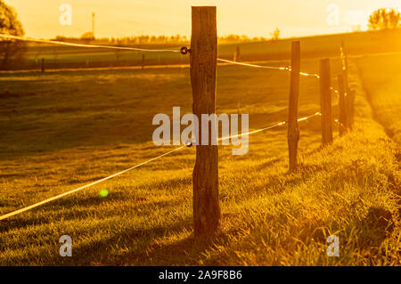 Pali di recinzioni e filo di spintore in golden ora la luce del tramonto sul campo in erba sparato contro il sole con il fuoco selettivo. rurale scena autunno nella luce calda del sole w Foto Stock