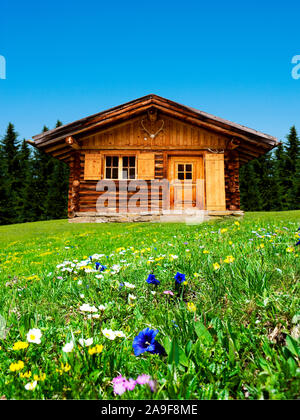 Rifugio di montagna con la genziana Foto Stock