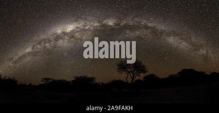 Via Lattea oltre il deserto del Kalahari, sud del cielo stellato, Namibia Foto Stock