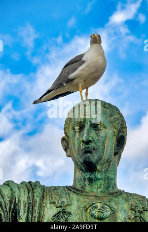 Un giallo-zampe (gabbiano Larus michahellis) permanente sulla testa della statua di bronzo di imperatore Marcus Cocceius Nerva in via dei Fori Imperiali di Roma Foto Stock