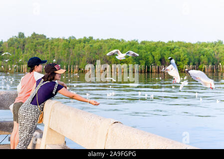 Donna e bambina famiglia asiatica tourist, madre e figlia sono happy fun alimentando i gabbiani volare sopra il mare, viaggio Asia di ricreazione Bangpu Cen Foto Stock