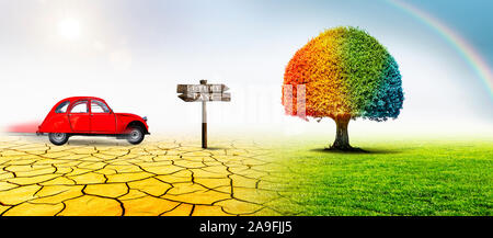 Albero colorato con segno 'futuro' e 'passato' in un paesaggio Foto Stock