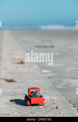 Natale in Florida. Un rosso pickup truck traina un albero di Natale sul battistrada sulla New Smyrna Beach, Florida. Foto Stock