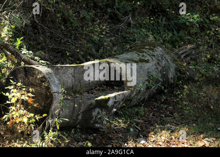 Sedile semplice scolpito in un tronco d'albero lungo un sentiero escursionistico in Virginia, Stati Uniti Foto Stock