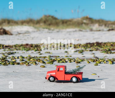 Natale in Florida. Un rosso carrello raccoglitore porta un albero di Natale passato di mangrovie di cialde di mare e dune su New Smyrna Beach. Foto Stock