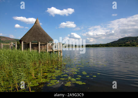 Ricostruita (età del Ferro) Crannog roundhouse, lago Llangorse, Brecon Beacons, Brecon, Powys, Wales, Regno Unito Foto Stock