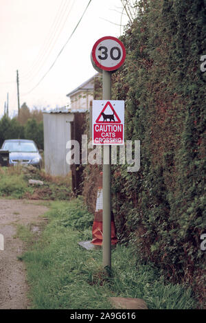 Novembre 2019 - Attenzione cat crossing segno vicino a Stoke St Gregory, Somerset, Regno Unito Foto Stock