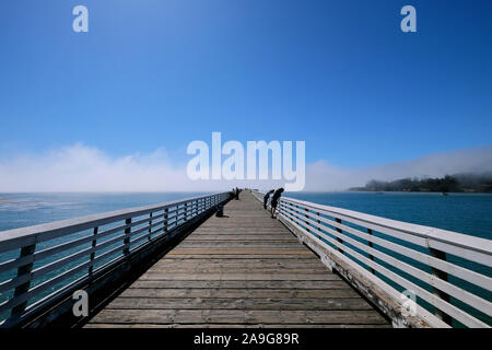 Aleggia di nebbie e cieli blu sull'Oceano Pacifico al Molo di San Simeon sull'autostrada 1, California, Stati Uniti Foto Stock