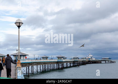 Un gabbiano vola sopra la curva molo vittoriano a Llandudno, il Galles del Nord su un tempestoso giorno d'Autunno Foto Stock