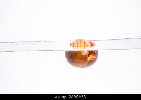 Il frutto di uno spruzzo di acqua isolate su uno sfondo bianco. Foto Stock