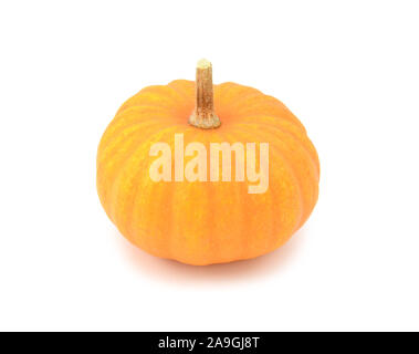 Rotondo, arancione Jack essere piccolo mini zucca di Halloween o ringraziamento, su sfondo bianco Foto Stock