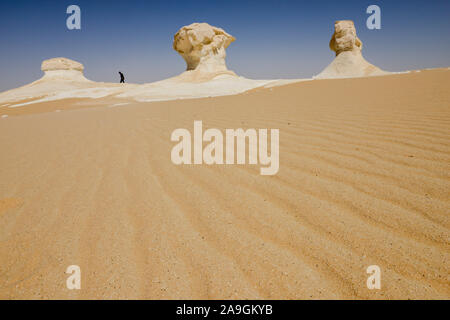 Egitto, Farafra, Nationalpark White Desert , come funghi chalk rocks sagomato dal vento e la sabbia erosione/ AEGYPTEN HA, Farafra, Nationalpark Weisse Wueste, durch Wind und sabbia Kalkfelsen geformte Foto Stock