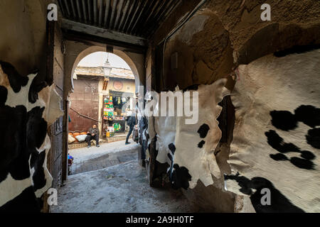 Fez, in Marocco. Il 9 novembre 2019. Le pelli di animali esposti nelle strade della medina Foto Stock