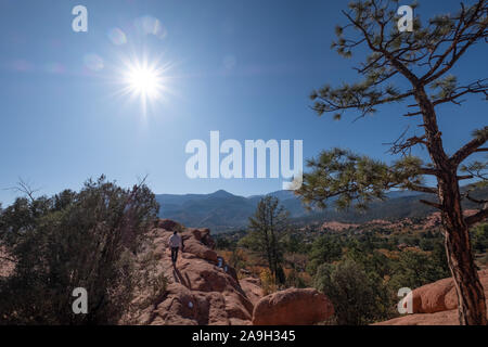 Uomo che cammina sul red rock formazione circondato da alberi di pino pine contro il cielo chiaro nel Giardino degli Dei in Colorado USA Foto Stock