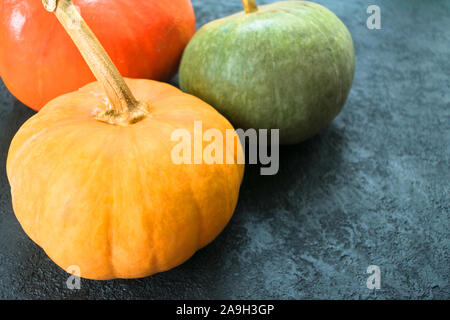 Tre zucche di diversi colori su uno sfondo nero. Foto Stock