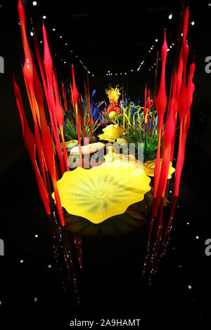 (191115) -- Seattle (USA), nov. 15, 2019 (Xinhua) -- vetro opere sono visibili nel giardino di Chihuly e vetro a Seattle, Washington, negli Stati Uniti il 9 novembre 14, 2019. Chihuly Garden e vetro in Seattle vetrine incredibile e unico opere del famoso vetro artista Dale Chihuly, il cui lavoro è incluso in più di 200 collezioni di numerosi musei di tutto il mondo. (Xinhua/Qin Lang) Foto Stock