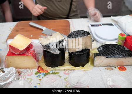 Varie fast food. Festival del cibo di strada, Oktoberfest. Cucina di Strada dei Formaggi. Varietà di formaggi dal produttore. Tipi di Artigianato di formaggio. Capra Foto Stock