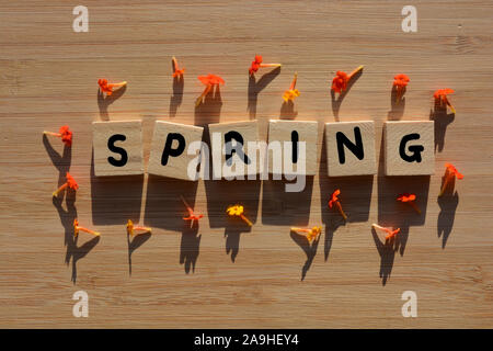 La molla, word in 3d alfabeto di legno lettere circondato da arancio fiori lantana. Concetto di primavera, stagioni e febbre da fieno Foto Stock