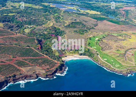 Vista aerea della costa meridionale di Kauai con piantagioni di caffè vicino a Poipu Kauai Hawaii USA Foto Stock