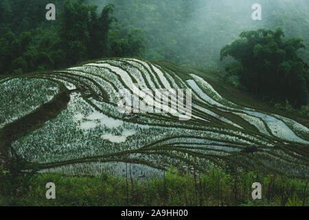 Inondati terrazze di riso che riflettono la luce al tramonto al tramonto in Sapa, il Vietnam del Nord, in alta montagna come le nuvole chiaro intorno ai picchi Foto Stock