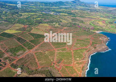 Vista aerea della costa meridionale di Kauai con piantagioni di caffè vicino a Poipu Kauai Hawaii USA Foto Stock