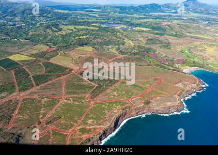 Vista aerea della costa meridionale di Kauai con piantagioni di caffè vicino a Poipu Kauai Hawaii USA Foto Stock