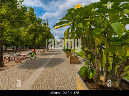 Berlino Germania - Giugno 2019: passerella in mattoni con scatole di legno di piante e Berlino Eco bikes parcheggiato sotto alberi verdi sulla bella giornata di sole. Foto Stock