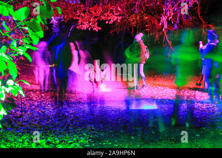 Syon Park, Londra, Regno Unito, 15 novembre 2019. La gente ballare in accesa Foglie di autunno. Il "Bosco Incantato' illuminazioni Syon Park e attorno allo storico Syon House ancora una volta si apre al pubblico con un percorso illuminato magnificamente scene intorno al parco e al centro storico di Syon House con la sua grande conservatorio e laser show all'interno. Bosco Incantato sarà aperto il venerdì e il sabato il 15 novembre al 1 dicembre, 2019. Credito: Imageplotter/Alamy Live News Foto Stock