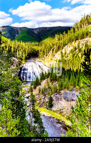 Gibbone cade nel gibbone fiume nel Parco Nazionale di Yellowstone in Wyoming, Stati Uniti d'America Foto Stock