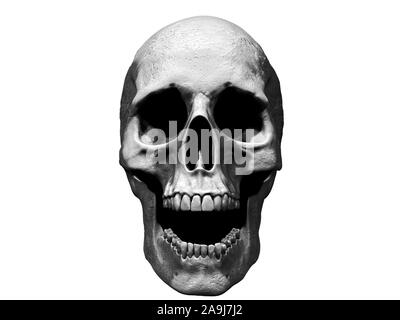 Cranio urlando illustrazione isolato in background 3D render Foto Stock