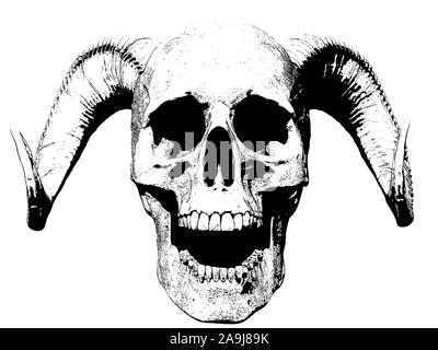 Cranio urlando illustrazione isolato in background 3D render Foto Stock