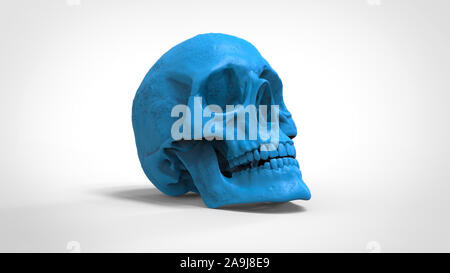 Cranio ABS 3d modello stampato sullo sfondo isolato 3D render Foto Stock