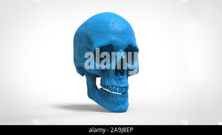 Cranio ABS 3d modello stampato sullo sfondo isolato 3D render Foto Stock