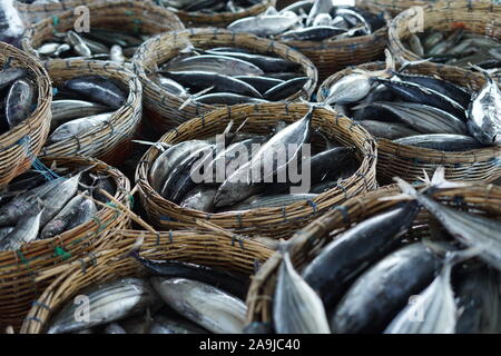 Benna piena di tonno fresco al mercato del pesce in Indonesia Foto Stock