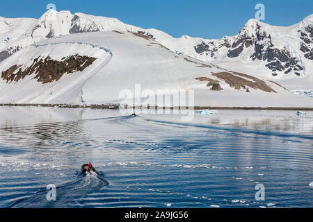 Intestazione di barche a terra per la Gentoo colonia di pinguini a Danco isola nel Canale Errera della costa ovest della penisola antartica in Antartide. Foto Stock