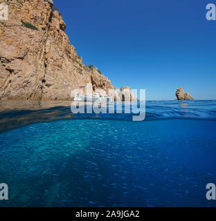 Costa rocciosa scogliera con una scuola di pesce subacquea, Spagna, mare Mediterraneo, Costa Brava, vista suddivisa su sotto acqua , Palafrugell, Catalogna Foto Stock