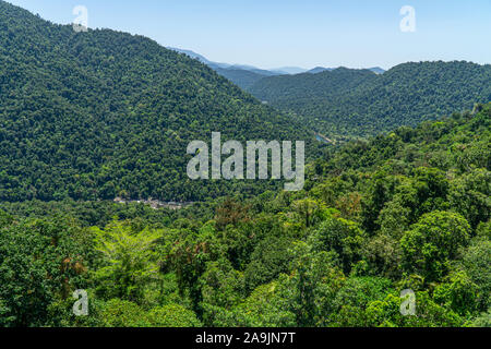 Una vista del verde foresta pluviale nel nord dell'Australia Foto Stock