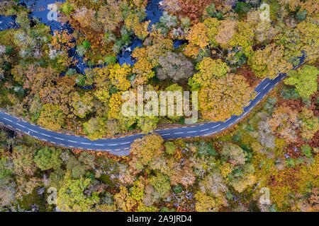 Antenna, vista dall'alto della strada curva attraverso la foresta di autunno prese da fuco Foto Stock