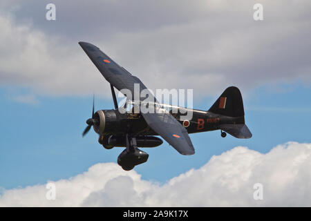 Westland Lysander in volo Foto Stock