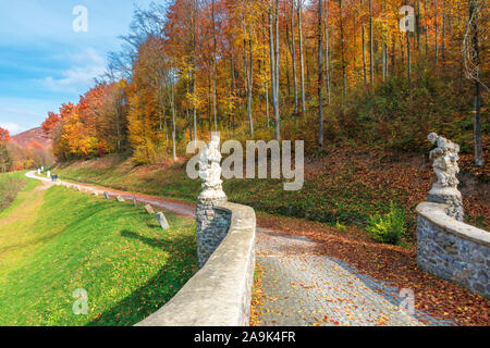 Splendido scenario autunnale nel Parco. marciapiede lungo il prato erboso sul pendio e la foresta in foglie colorate. splendido clima soleggiato con cielo blu Foto Stock