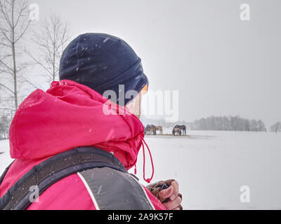 Uomo sportivo con zenzero barba, cappuccio nero e arancio occhiali, guardare i cavalli in paddock mentre snowfalling. Paesaggio Innevato. Foto Stock