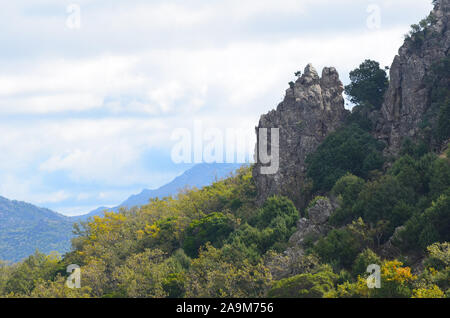 Boschi di querce e macchia mediterranea in Sierra Madrona parco naturale, il sud della Spagna Foto Stock