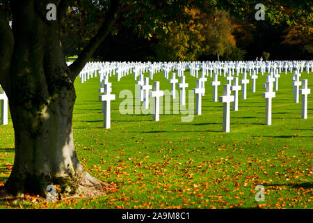 Croci Bianche sotto un albero presso la American cimitero militare Henri-Chapelle vicino Aubel in Belgio, alcune foglie in primo piano. Foto Stock