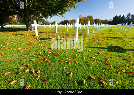 Croci Bianche sotto un albero presso la American cimitero militare Henri-Chapelle vicino Aubel in Belgio, alcune foglie in primo piano. Foto Stock