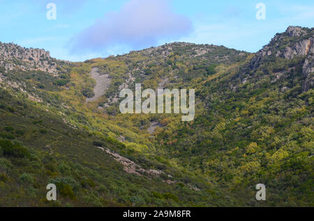 Boschi di querce e macchia mediterranea in Sierra Madrona parco naturale, il sud della Spagna Foto Stock