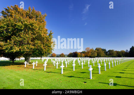 Croci Bianche sotto un albero presso la American cimitero militare Henri-Chapelle vicino Aubel in Belgio, alcune foglie in primo piano. Foto Stock