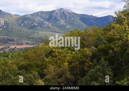 Boschi di querce e macchia mediterranea in Sierra Madrona parco naturale, il sud della Spagna Foto Stock