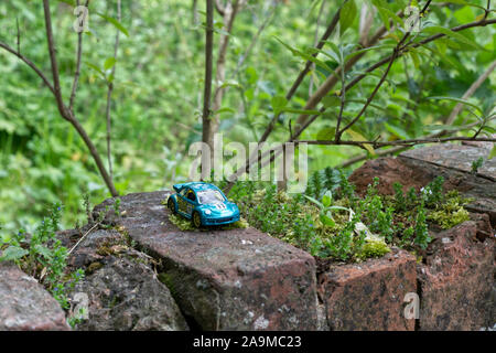 Bambino giocattolo beetle su una parete in boschi Foto Stock