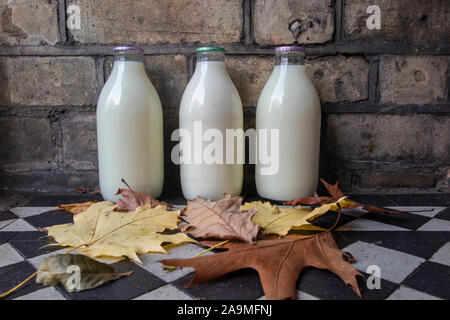 Bottiglie di latte su un fianco, con foglie autunnali cadere Foto Stock